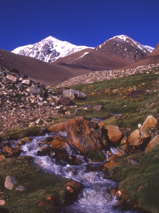 Mercedario from just below the Guanaquitos base camp