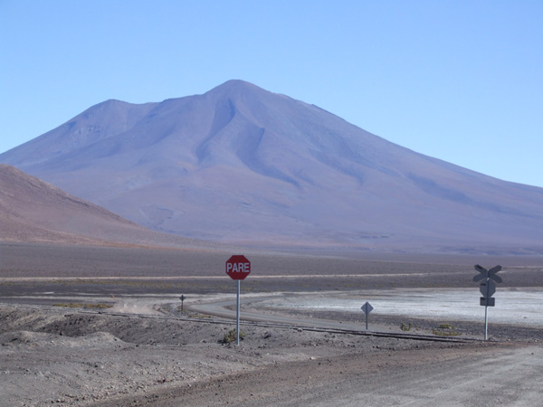 Chela near ollague