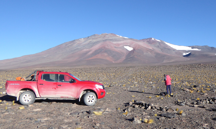 Colorado above the Salar de Maricunga. 