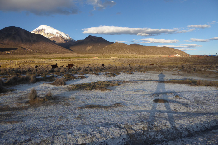 Sajama, the highest peak in Bolivia, at sunset. Taken on our June 2024 Bolvian Volcanoes expedition. Our next scheduled expedition to this country is a First Ascents trip running in November 2025. 